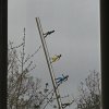 IMG_1884