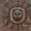 IMG_1886