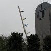 IMG_1901