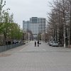 IMG_1905