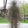 IMG_1984