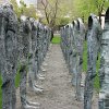 IMG_1994
