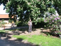 Bill, under the spreading chestnut tree