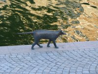 cat on Sondra steps, along Forstads Kanalen