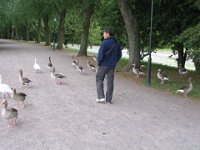 the geese lead Francisco down the path