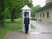 Royal Palace guard