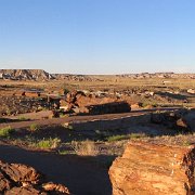 Petrified Forrest Panoramic I