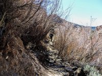 Francisco coming up the trail