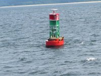 19seals on buoy2.sized